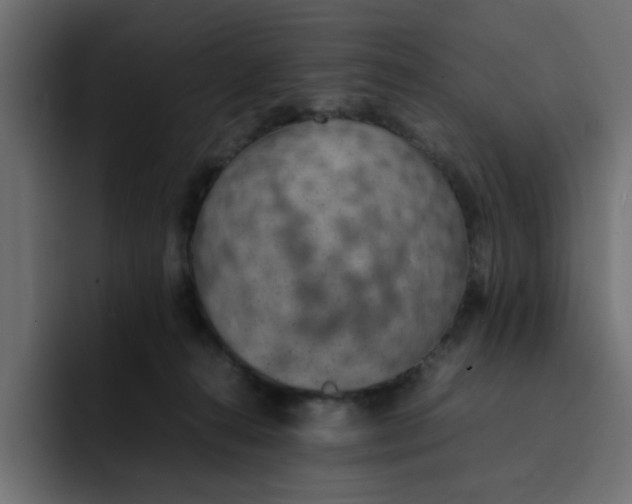 X0000092050272200710031048