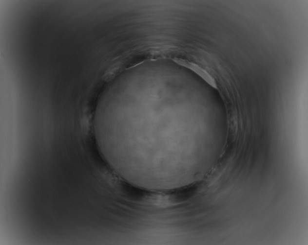 X0000092050276200710031048