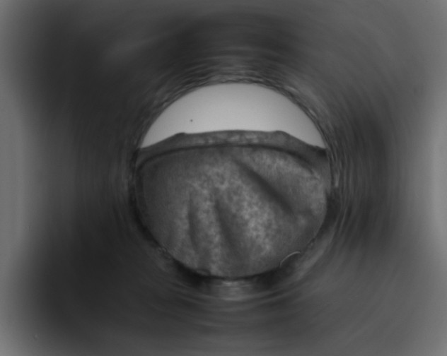 X0000092050277200710031048