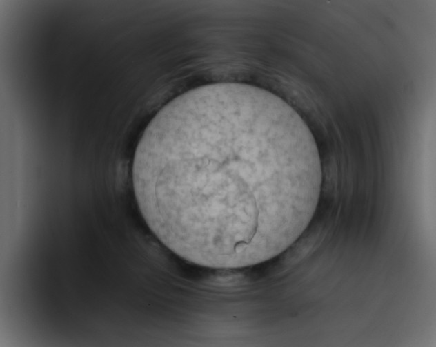 X0000092050278200710031048