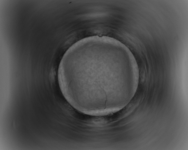 X0000092050279200710031048