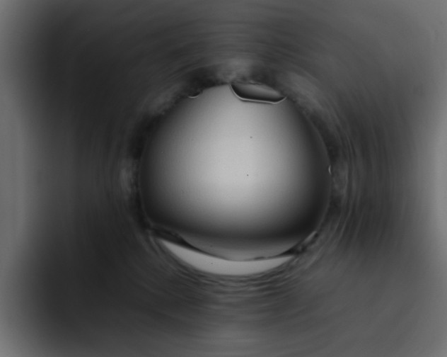 X0000092050280200710031048