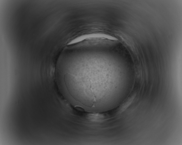 X0000092050281200710031048