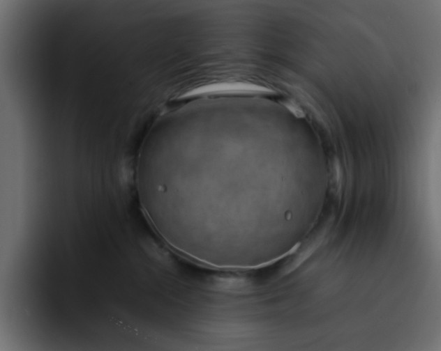 X0000092050284200710031048