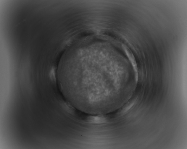 X0000092050286200710031048