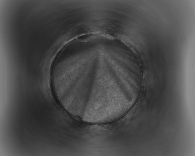 X0000092050290200710031047