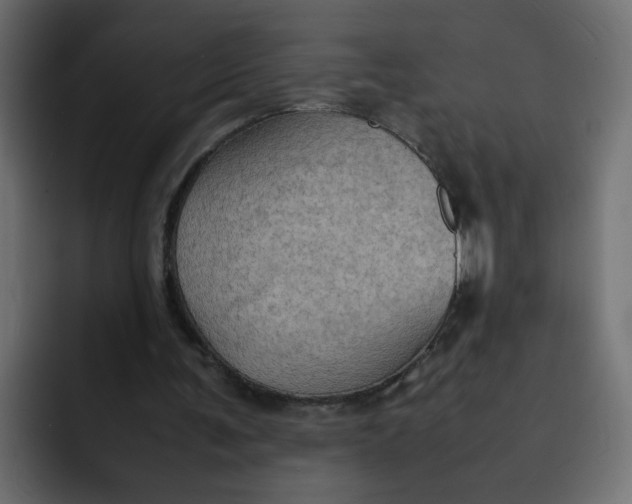 X0000092050291200710031047