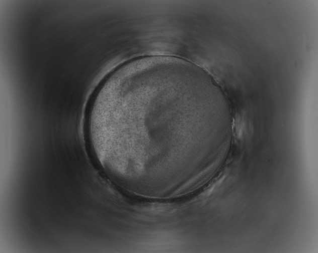 X0000092050292200710031047