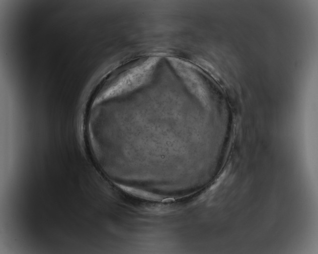 X0000092050293200710031047