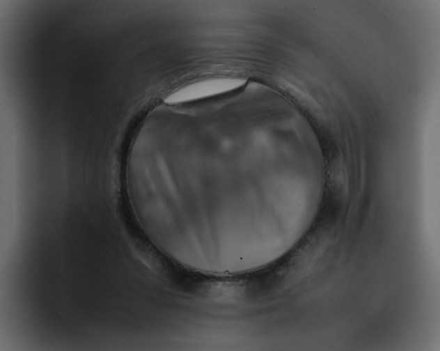 X0000092050303200710031047