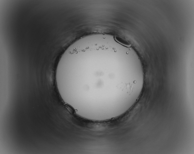 X0000092050305200710031047