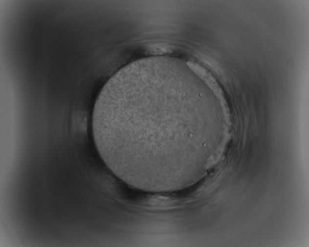 X0000092050315200710031047