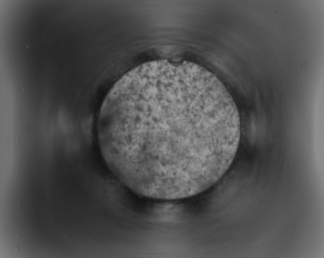 X0000092050319200710031047