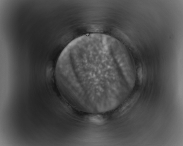 X0000092050322200710031047