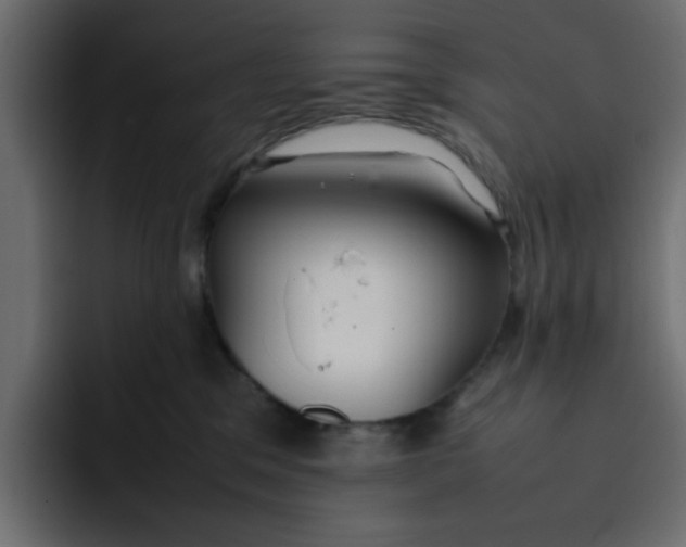 X0000092050329200710031047