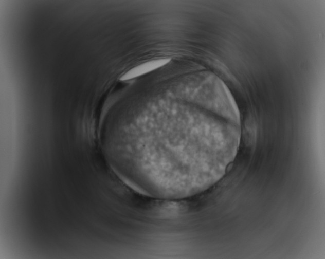 X0000092050330200710031047