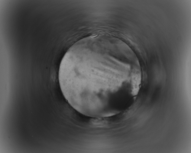 X0000092050331200710031047