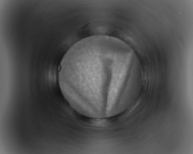 X0000092050334200710031047