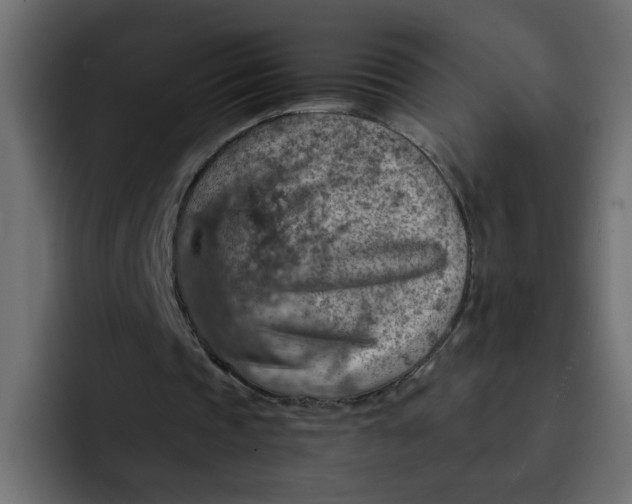 X0000092050337200710031046