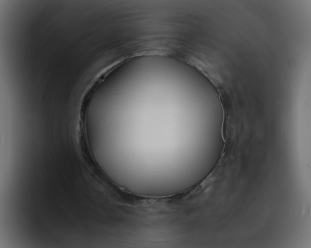 X0000092050338200710031046