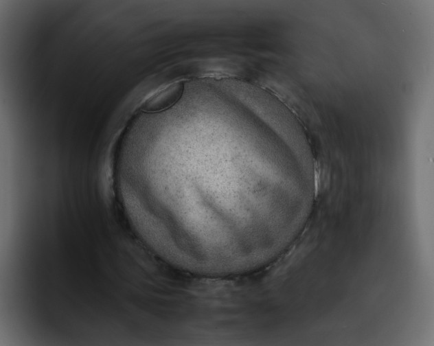 X0000092050339200710031046