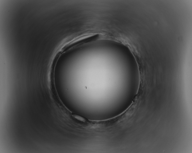 X0000092050340200710031046