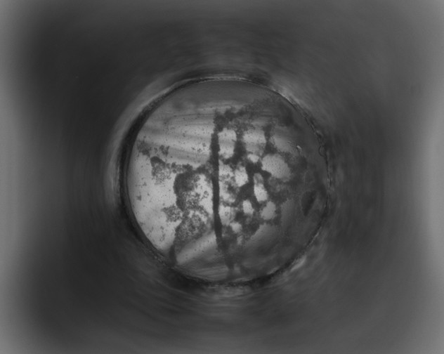 X0000092050343200710031046