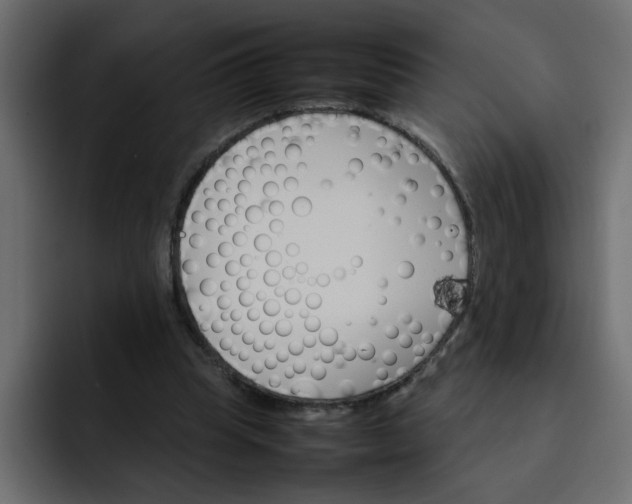 X0000092050345200710031046