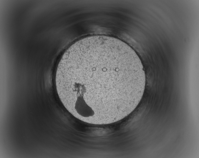 X0000092050347200710031046