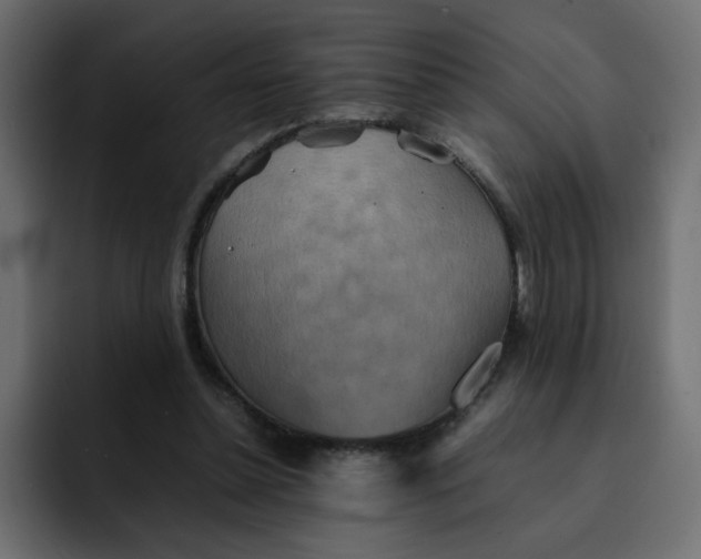 X0000092050348200710031046