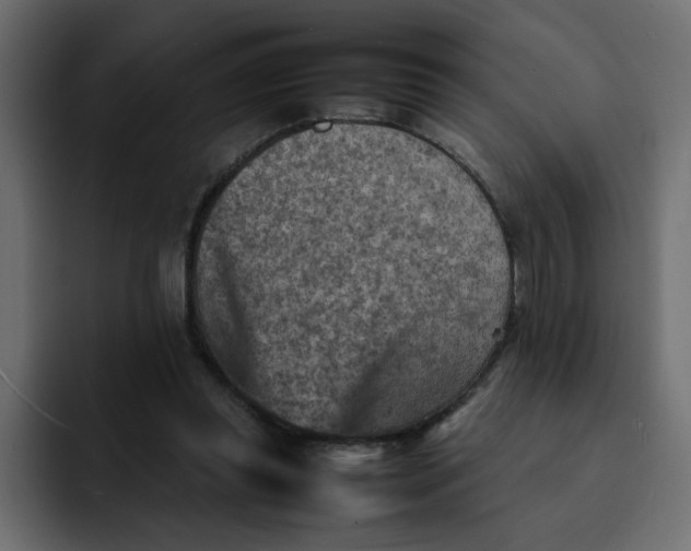 X0000092050349200710031046