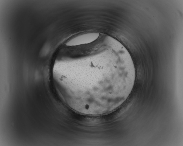 X0000092050351200710031046