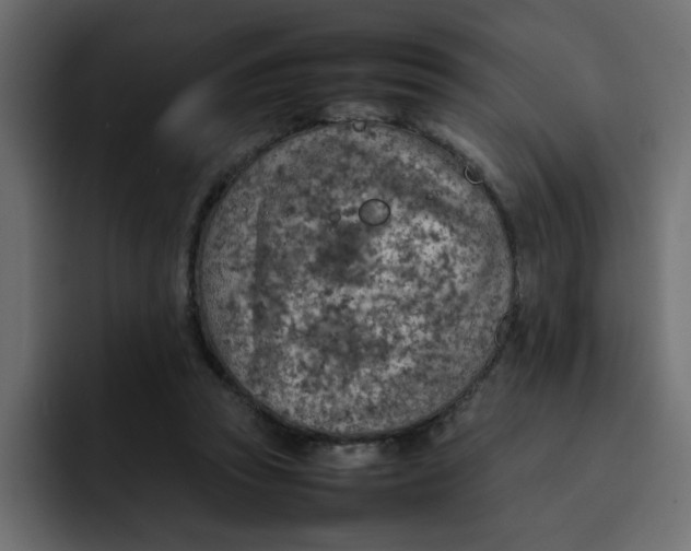 X0000092050353200710031046