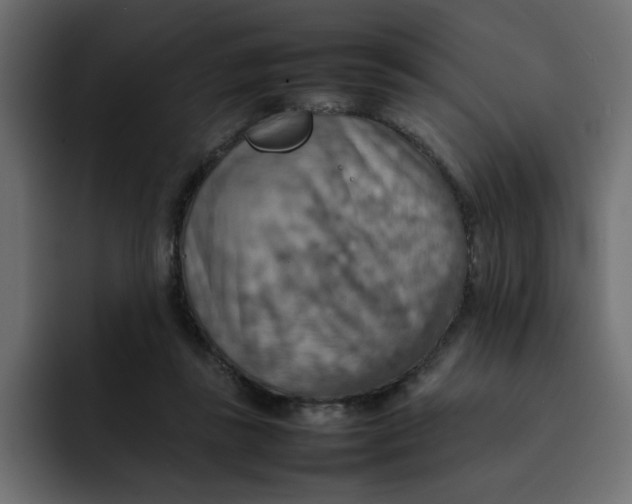 X0000092050355200710031046