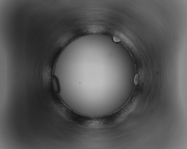 X0000092050356200710031046