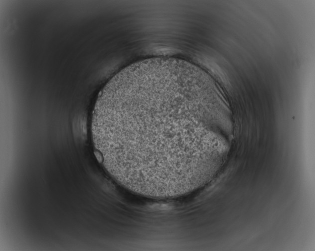 X0000092050358200710031046