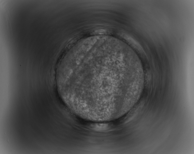 X0000092050361200710031046