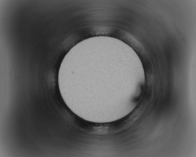 X0000092050362200710031046