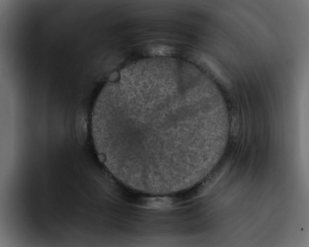 X0000092050363200710031047