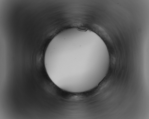 X0000092050364200710031047