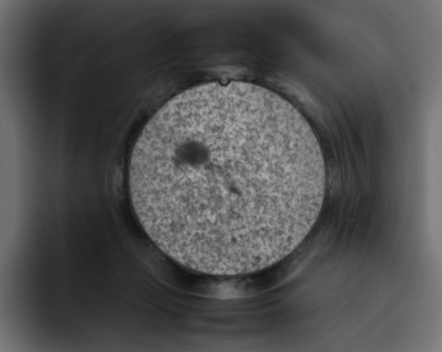 X0000092050365200710031047