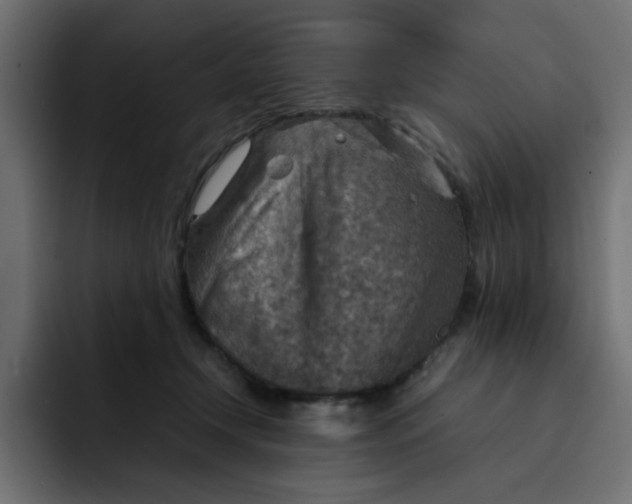 X0000092050366200710031047