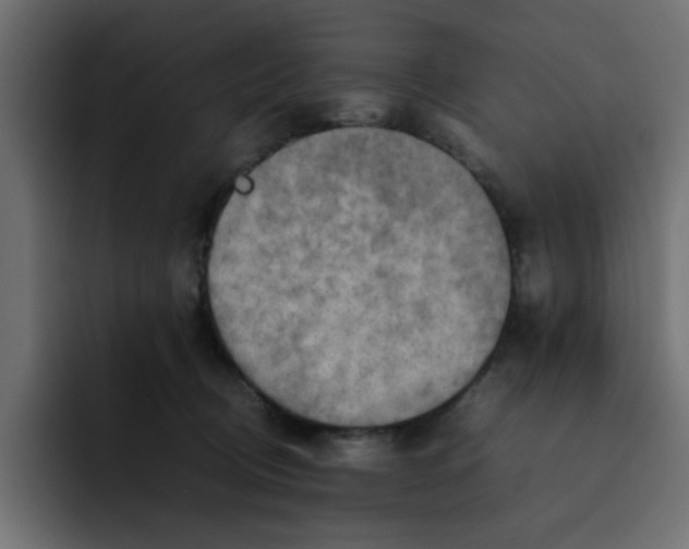 X0000092050370200710031047