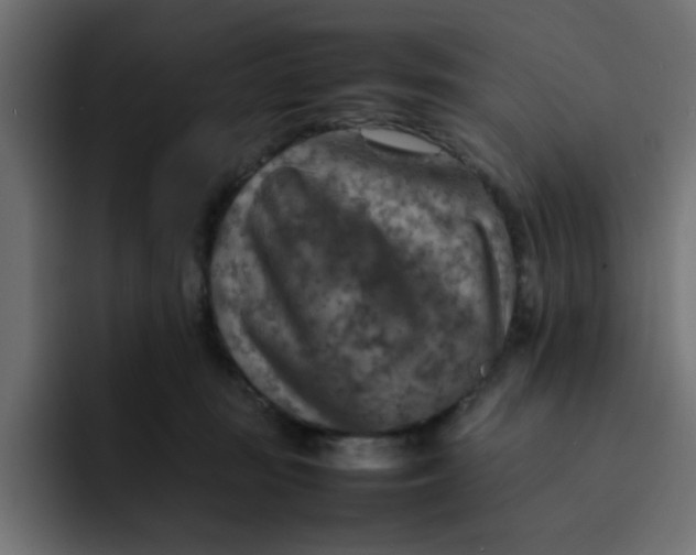 X0000092050371200710031047