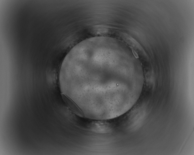 X0000092050372200710031047