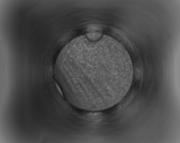 X0000092050375200710031047