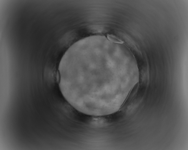 X0000092050376200710031047