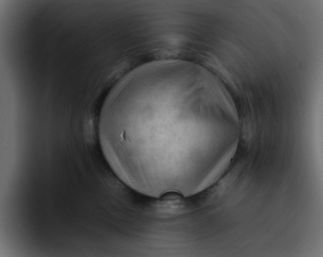 X0000092050378200710031047