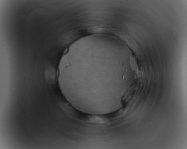 X0000092050380200710031047