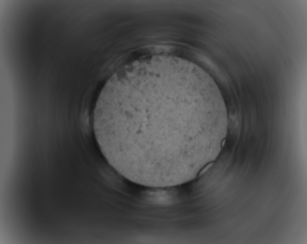 X0000092050381200710031047